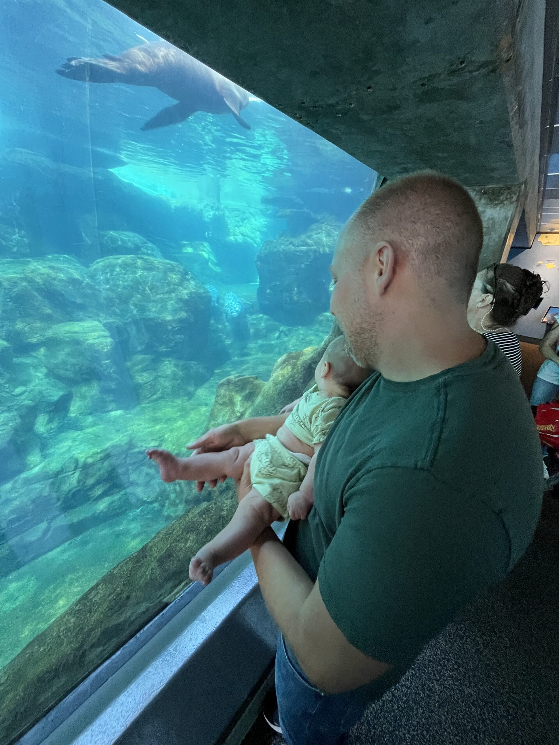 Marco at the aquarium