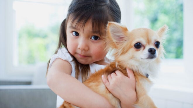 dogs-stress-sign-featured