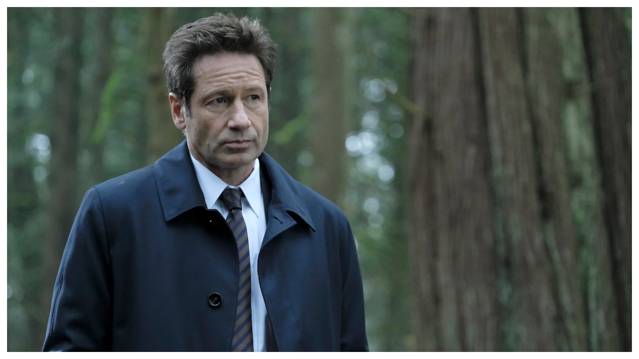 David Duchovny