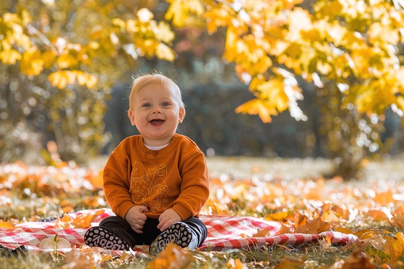 Baby boy in fall leaves
