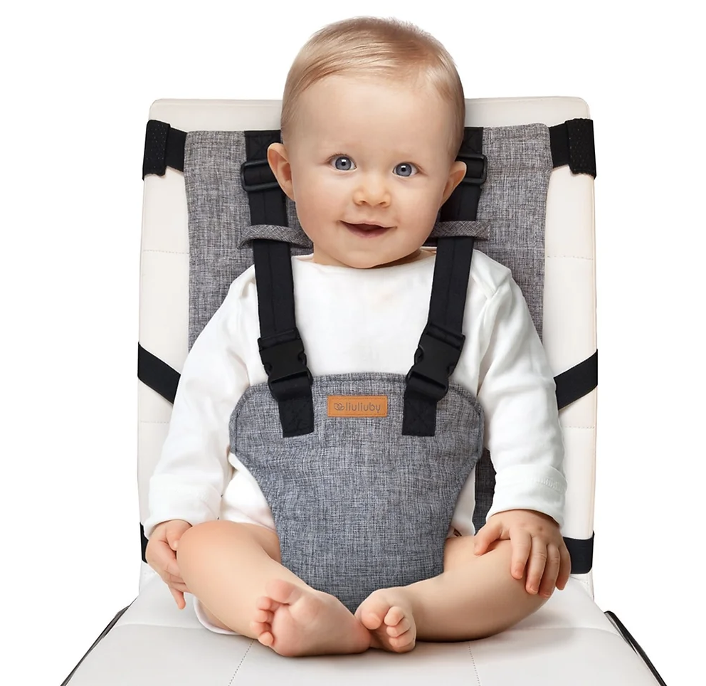 travel harness seat